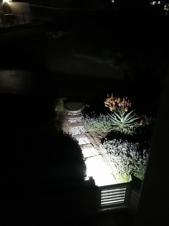 Ocean Room @ 66 Fynbos モーセル・ベイ エクステリア 写真